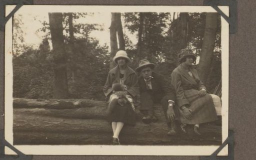 Dootje, Johannes, and Wilhelmina van Zijll de Jong on a tree trunk