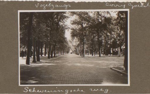View of the Scheveningseweg in The Hague