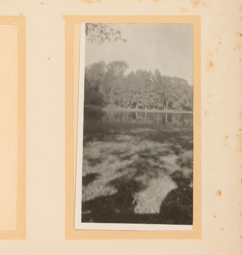 View of a lake in a forested area, with three human shadows in the foreground