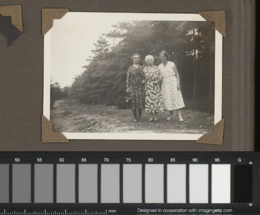 Portrait of three women in patterned dresses