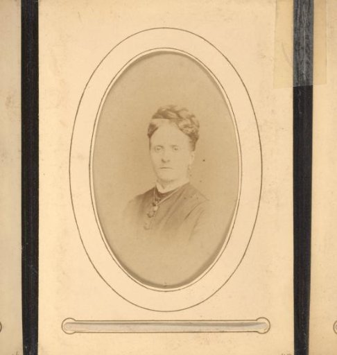 Portrait of a Woman with Braided Hair and a Necklace