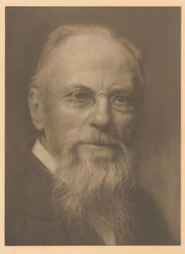 Portrait of an old man with a beard