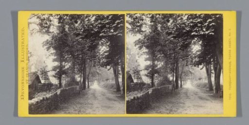 Approach Avenue of Torre Abbey