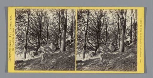 Hill in Whiddon Park