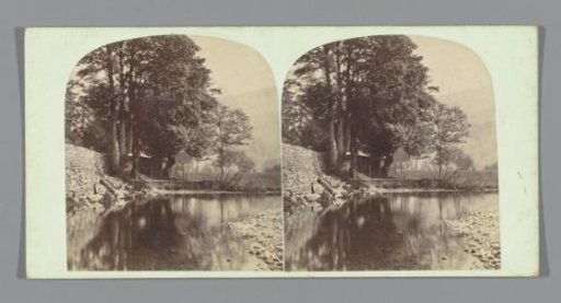 View of trees along Grasmere