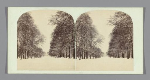 Snowy avenue (probably) in England