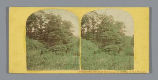 Wooded landscape with a man in England