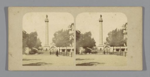 View of the Duke of York's Column in London
