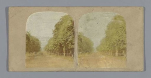 Tree-lined avenue in Cheltenham