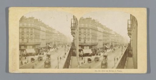 View of the Rue de Rivoli at Paris
