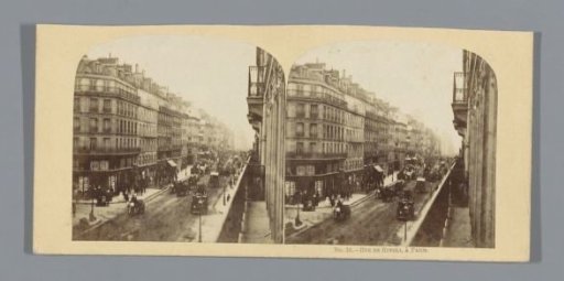 View of the Rue de Rivoli at Paris