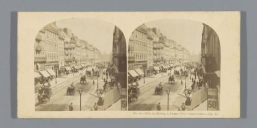 View of the Rue de Rivoli at Paris