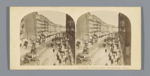 View of the Rue de Rivoli at Paris