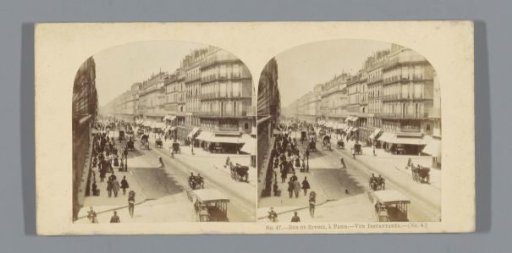 View of the Rue de Rivoli at Paris