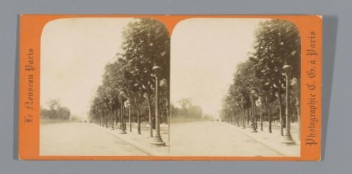 View of the Avenue des Champs-Élysées in Paris