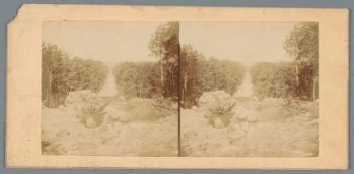 View of the Bois de Boulogne in Paris