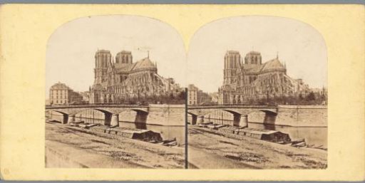 View of Notre-Dame and the Pont de l'Archevêché in Paris