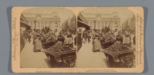 Fruit and Flower Sellers in Paris