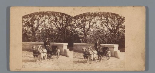 Goat Cart of Napoleon Eugène Louis Bonaparte in the Garden of the Château de Saint-Cloud