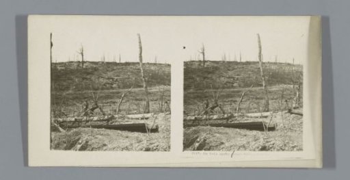 Forest destroyed by a French bombardment