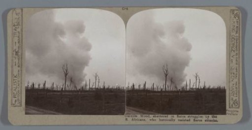 Delville Wood, shattered in fierce struggles by the S. Africans, who heroically resisted fierce attacks
