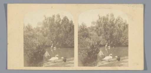 Pond in the zoo of Marseille