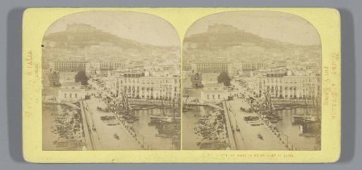 View of Naples and the Castel Sant'Elmo