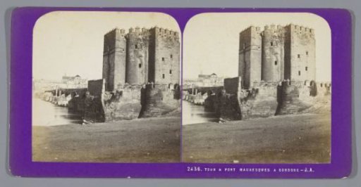 View of the Torre de la Calahorra and a bridge in Córdoba
