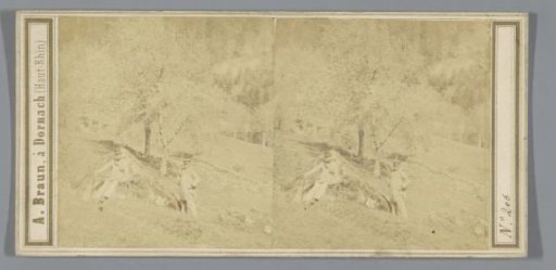 Two men in a mountain landscape, possibly in Switzerland
