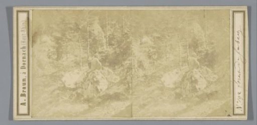 Man in a Wood