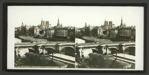 View of Paris with the Pont Neuf and Notre-Dame