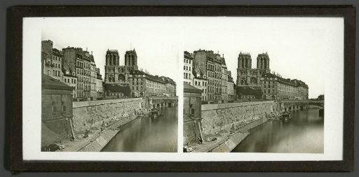View of Paris with the Notre-Dame