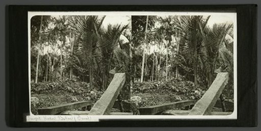 Sawmill in the forests near Batu, East Java