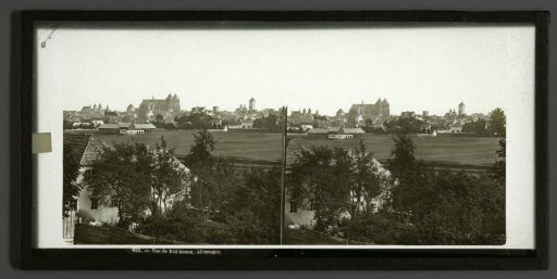View of Regensburg, with the Cathedral of Regensburg in the distance