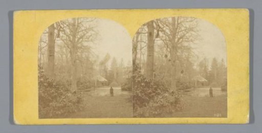 Man in a park