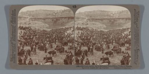 Cattle Market in the Valley of Hinnom, near Jerusalem