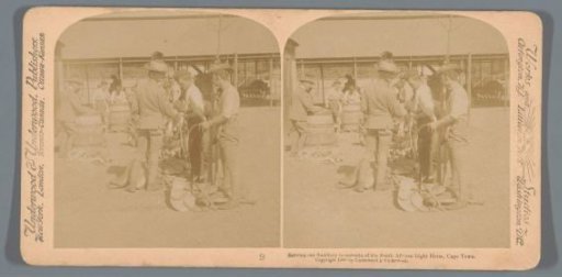Distribution of saddles to the recruits of the South African Light Horse in Cape Town