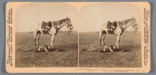 View of a sleeping soldier next to his horse during the great journey to Bloemfontein