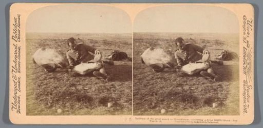 A soldier next to his dying horse on the way to Bloemfontein