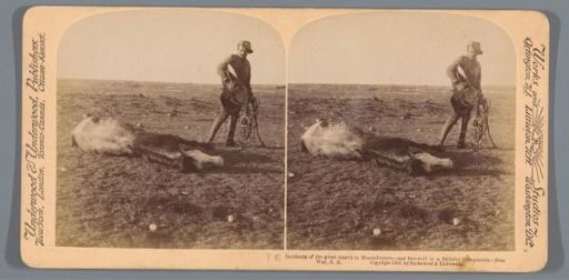 View of a man next to his dead horse during the great journey to Bloemfontein