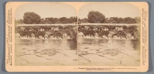 View of the Vet River with a transport wagon drawn by cattle, South Africa