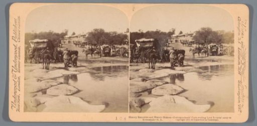 View of a riverbank with horse carts near Kroonstad, South Africa