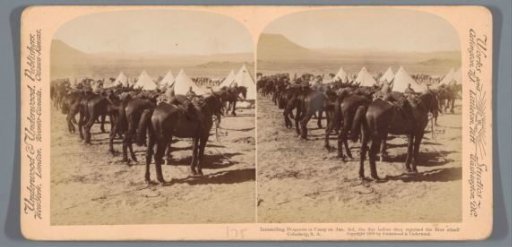 Camp with horses of the British army in Colesberg, South Africa