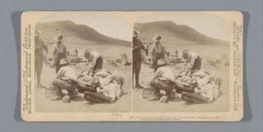 Volunteers slaughtering animals, near the Orange River, South Africa