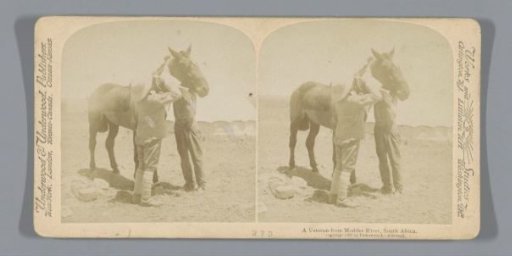 Two men caring for a horse after a fight at the Modder River, South Africa