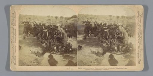Soldiers leading their horses to water on the way to Pretoria, South Africa