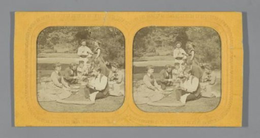 Company during a picnic in a wood