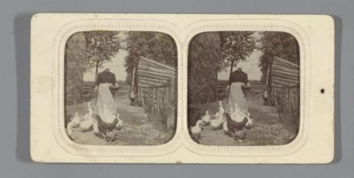 Peasant woman feeding geese