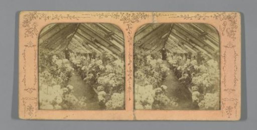 Two men in a greenhouse
