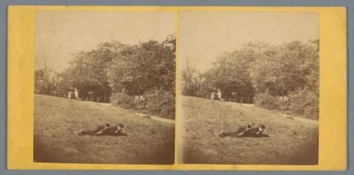 Man lying in the grass with a cottage and carriages in the background